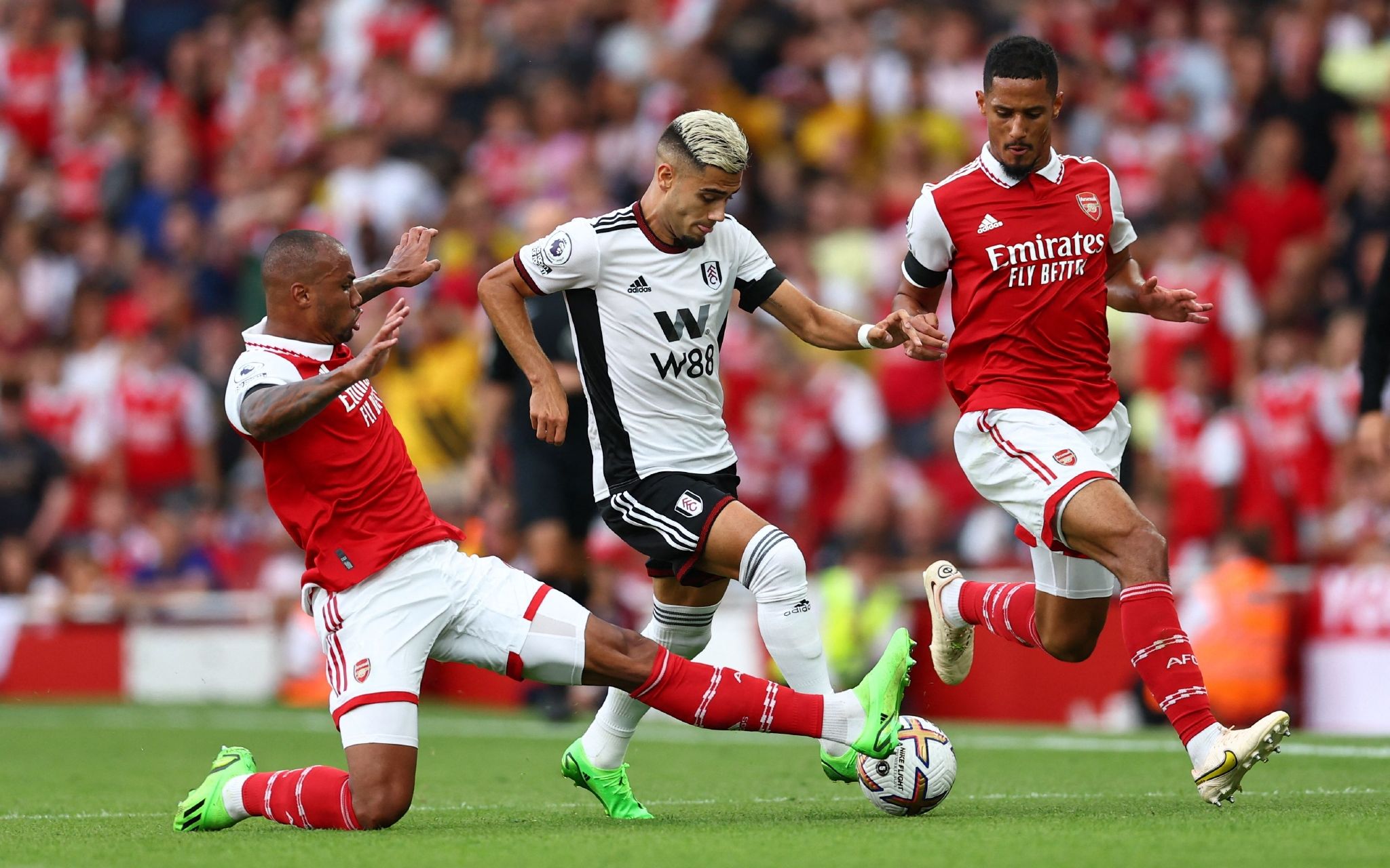 例的分成 例的分成